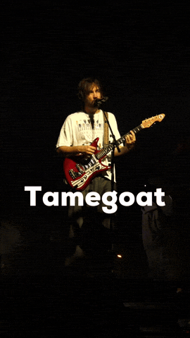 Tame Impala Singing GIF