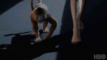 200.gif?cid=fc005b08d098af74125a15f54eb4b7d500117626ce6c0ea5&rid=200.gif&ct=g