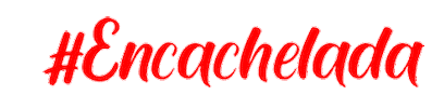 Flamenco Sticker by Cachela