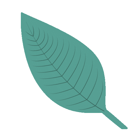 Nature Sticker