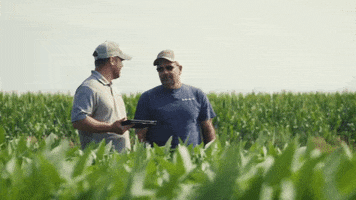 MCSeedcorn GIF