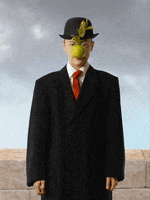 200.gif?cid=fc005b0823e07a6827447b2670ecb144b6f447e95c966a87&rid=200.gif&ct=g