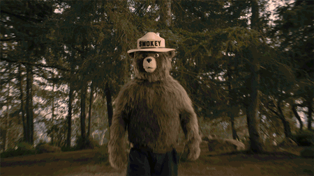 Birthday Cake GIF by Smokey Bear - Find & Share on GIPHY