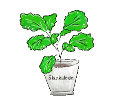 Kale Sticker by Kyusai