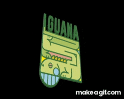 IguanaTerraza snacks restaurante sevilla iguana GIF