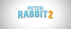 The Runaway Sony GIF by Peter Rabbit Movie