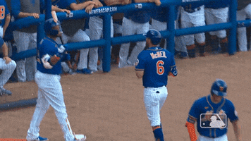 Ny Mets Fist Bump GIF by New York Mets
