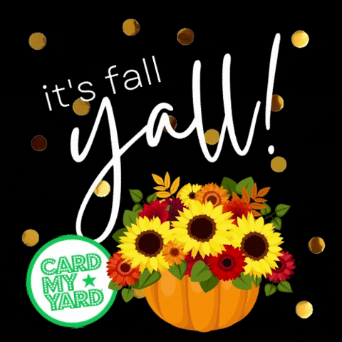 Its Fall Choose Joy GIF by CardMyYard