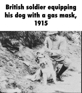 gas