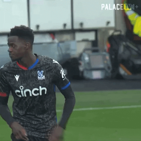 Premier League Thumbs Up GIF by Crystal Palace Football Club