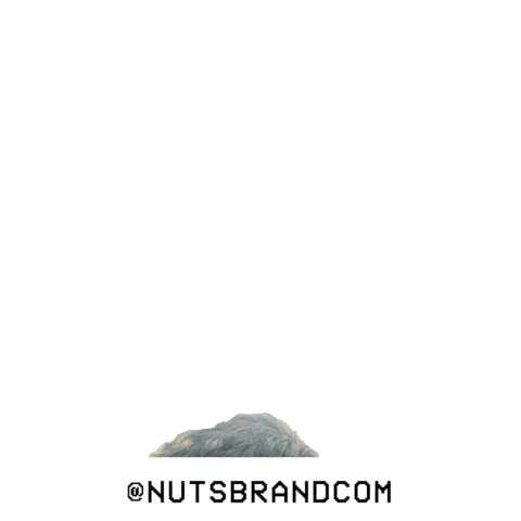 Operacion Triunfo Prank Sticker by Nuts