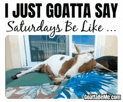 Tired Its Saturday GIF by Goatta Be Me Goats! Adventures of Pumpkin, Cookie and Java!