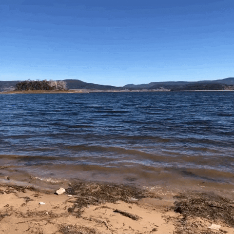 Waves GIF