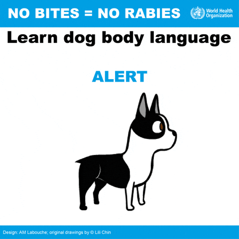 Disease Prevention Rabies GIF by World Health Organization - Find ...