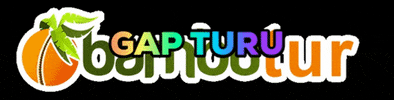 bambutur GIF