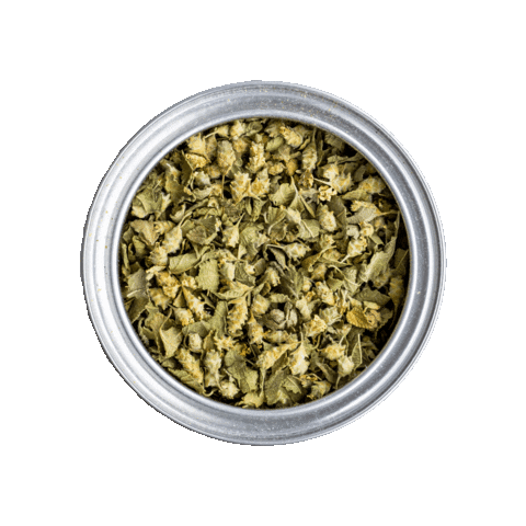 Cool Chile Co Sticker