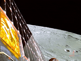 Moon Landing GIF by Storyful