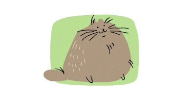 Flūi Vet Spa Sticker