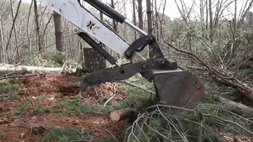 Yard Work Operator GIF by JC Property Professionals