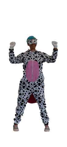 Camping Village Adria Sticker