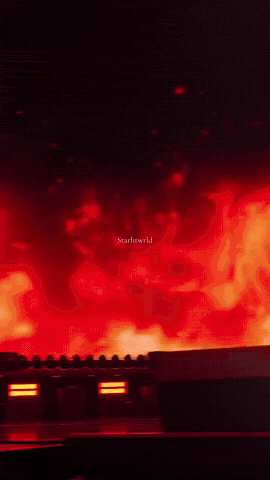 Jimin GIF