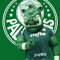 mascote informacao GIF by SE Palmeiras