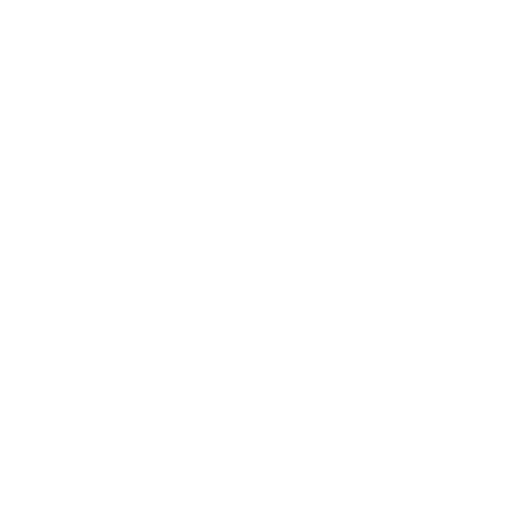 RE/MAX Power Sticker