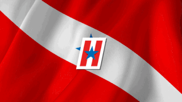 Eleicoes2018 Parã¡ GIF