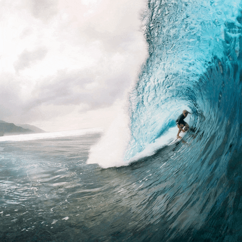 Surf Surfing GIF by Monster Energy - Find & Share on GIPHY