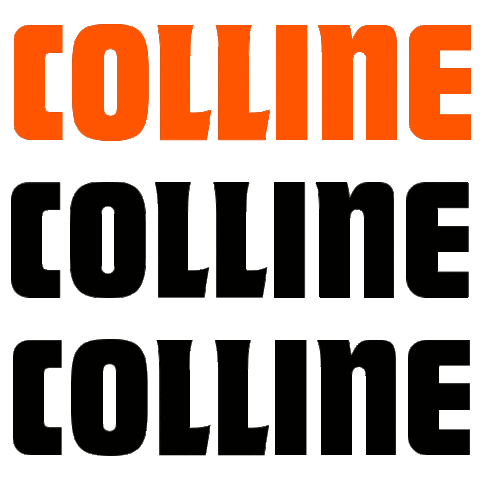 Festival Sticker by Colline