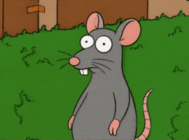 Awkward Rat GIF by Flexxed