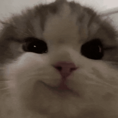Smirk Yoko GIF