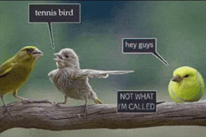 Pointing Hey Guys GIF