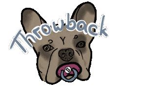 Dog Sticker