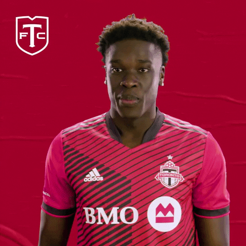 Major League Soccer What GIF by Toronto FC