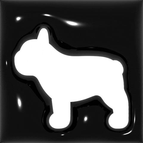 French Bulldog Französische Bulldogge GIF by Dogs Supreme
