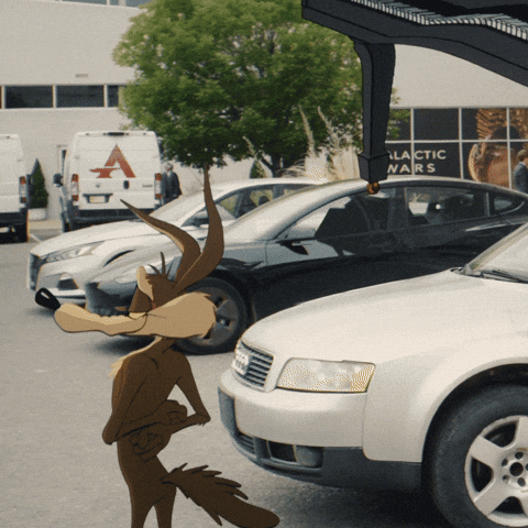 Coyote vs. ACME GIF
