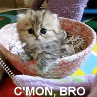 Come On Reaction GIF by MOODMAN