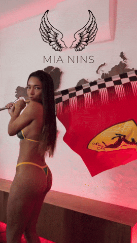 Racing Flag GIF
