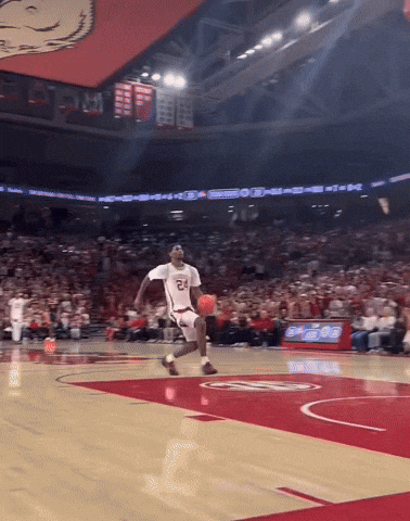 Arkansas Razorbacks Basketball GIF