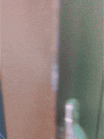 Bayram GIF