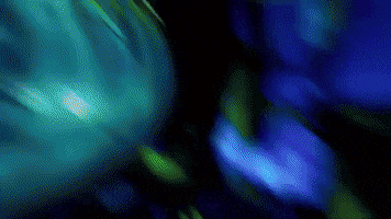 AREA15 GIF