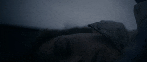 Medialifecrisis GIF