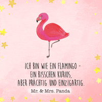 Flamingo Ich GIF by Mr. & Mrs. Panda