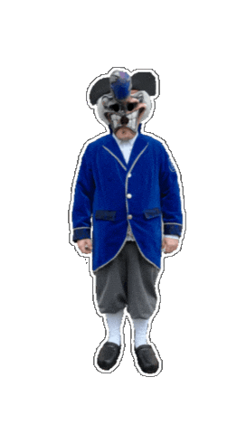 Fasnet Guggenmusik Sticker by Zieefägge