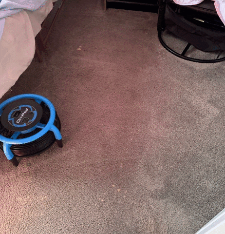 Carpet Cleaning Conshohocken Pa GIF