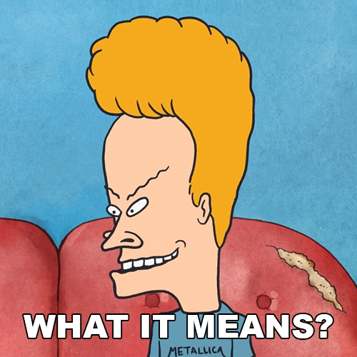 What Does It Mean Beavis And Butthead GIF by Paramount+