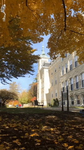 northcentralcollege ncchalloween GIF by NCAlumni