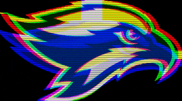 seahawks bc GIF by Broward College