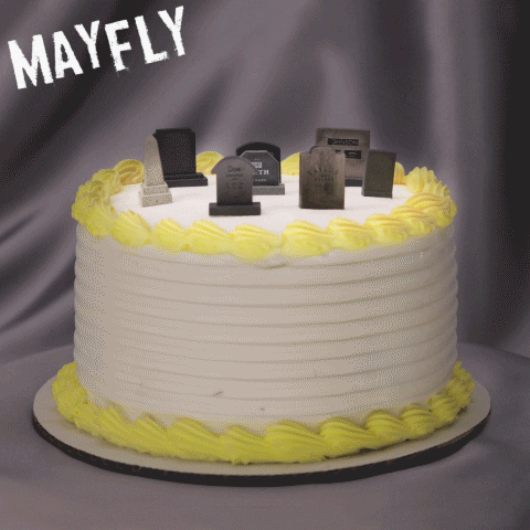 You'Re Old Happy Birthday GIF by Mayfly